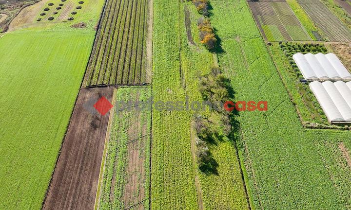 Terreno Agricolo Capaccio-Rif.190624D