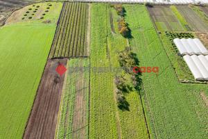 Terreno Agricolo Capaccio Paestum