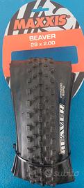 copertone Maxxis beaver 29x2.00 mtb