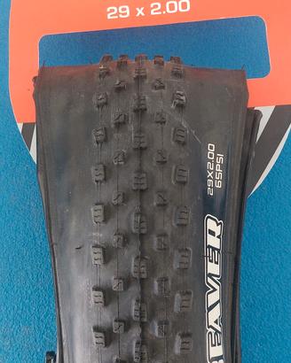 copertone Maxxis beaver 29x2.00 mtb