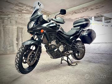 V-Strom 650 2013