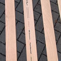 Rete matrimoniale Simmons