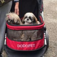Passeggino per cani peso massimo 30 kg