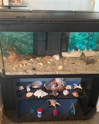 Acquario Completo con Mobile - 200€(trattabili)
