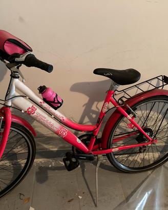 Bicicletta cerchi 28