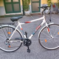 Bici uomo pollici 28 non trattabile 