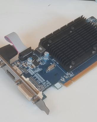 Scheda Video PCIe ATI Radeon HD 4350 1G HM