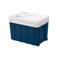 FRIGORIFERO PORTATILE TERMOELETTRICO  DA LITRI  39