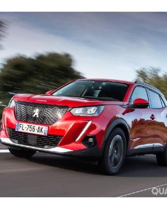 Ricambi usati peugeot 2008 2019 #g