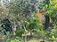 Immagine 12