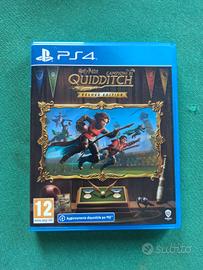 Harry Potter Campioni di Quidditch PS4