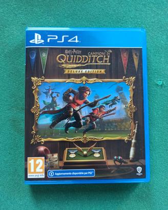 Harry Potter Campioni di Quidditch PS4