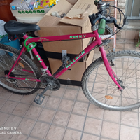 Bicicletta Mountain Bike Rollmar Husky 351