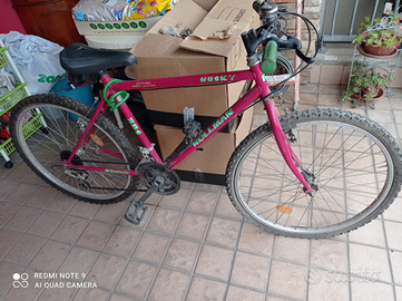 Bicicletta Mountain Bike Rollmar Husky 351