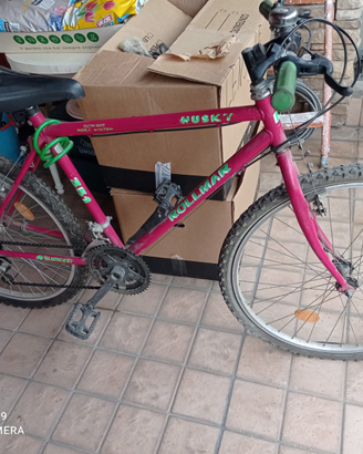 Bicicletta Mountain Bike Rollmar Husky 351