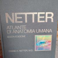 libro anatomia 
