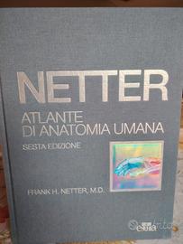 libro anatomia 