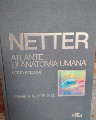 libro anatomia 