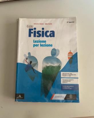 FISICA LEZIONE PER LEZIONE