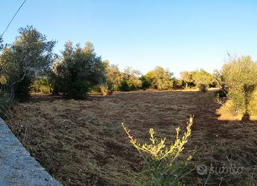 Terreno mq. 6000 a Sassari - La Landrigga -