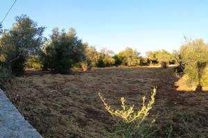 Terreno mq. 6000 a Sassari - La Landrigga -