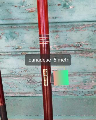 canne da pesca 
