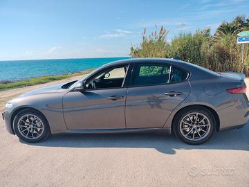alfa Giulia anno 2019