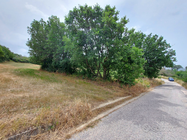 Terreno di 16400 mq uscita autostradale Contursi