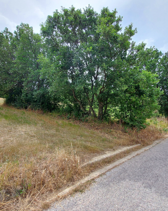 Terreno di 16400 mq uscita autostradale Contursi