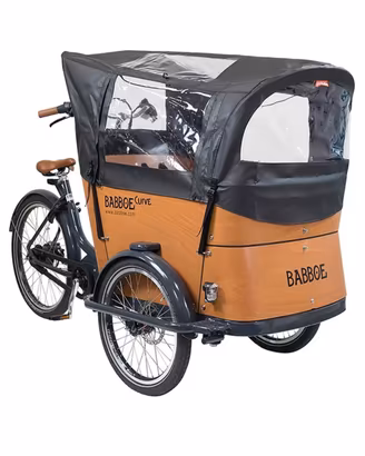 Cargo bike elettrica Babboe