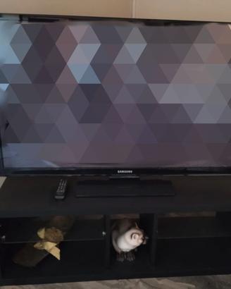 Televisione Samsung + Mobile porta TV