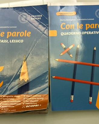 Libri scuole medie - grammatica - con le parole