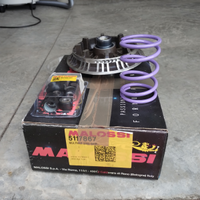 Variatore malossi ak 550