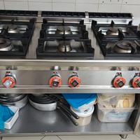 Cucina professionale a 6 fuochi Lotus armadiata