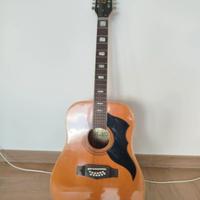 Chitarra Eko Ranger a 12 corde