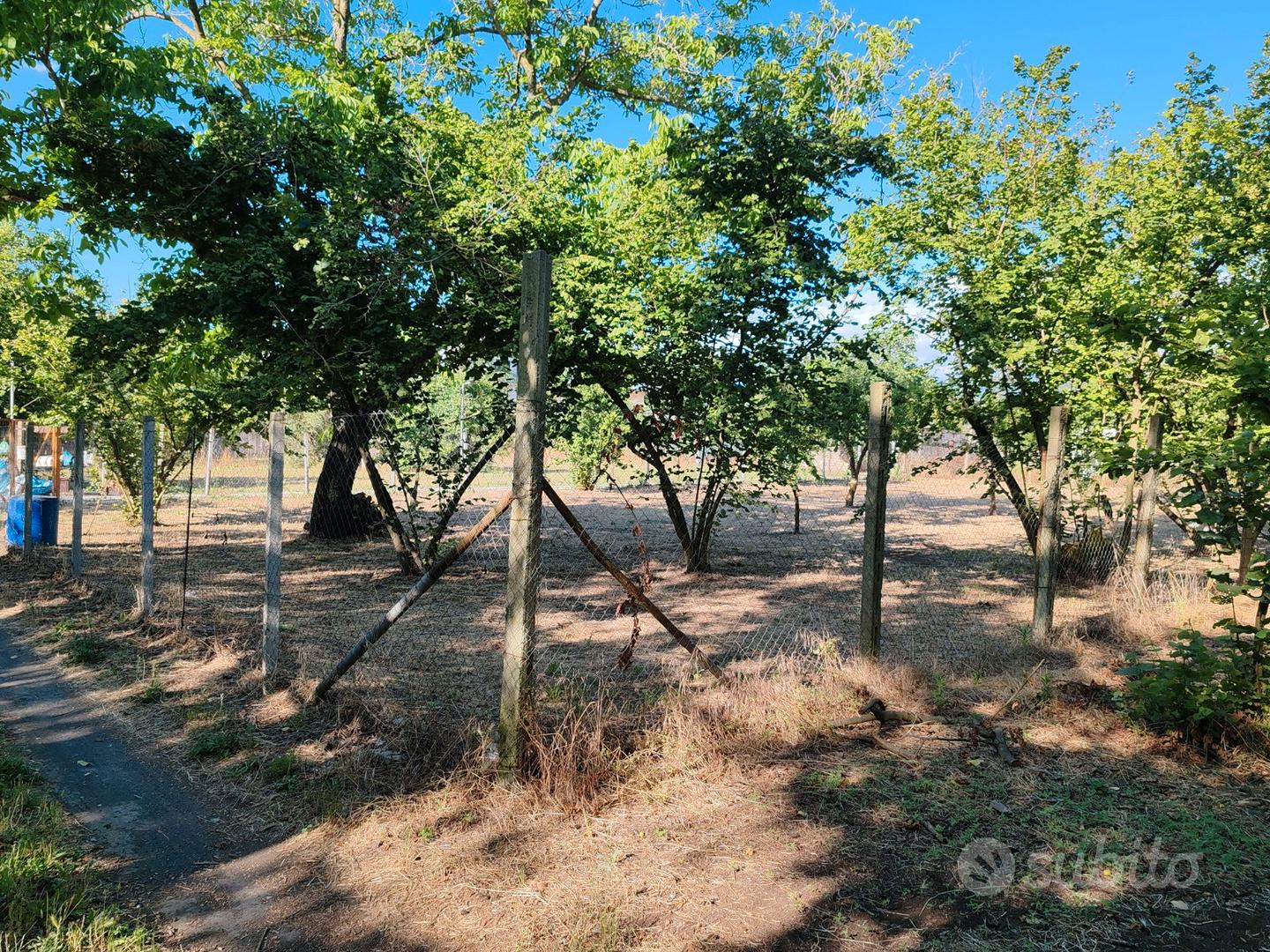 Terreno agricolo - Vista 3