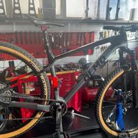 Olmo bignone 29
