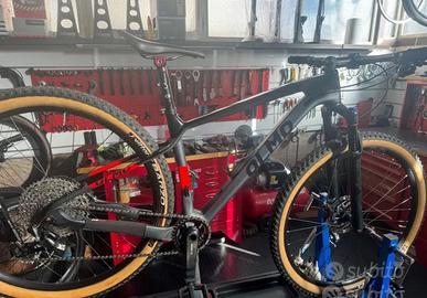 Olmo bignone 29