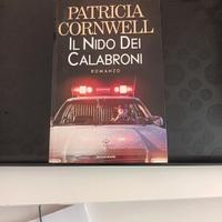  il nido dei calabroni