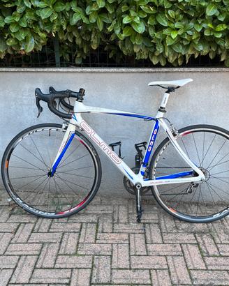 Olmo Kurva - tg. 54 - 7,8 kg