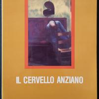 Il cervello anziano, Giaquinto