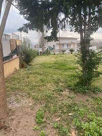 Terreno edificabile e piscina