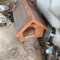 cuccia 