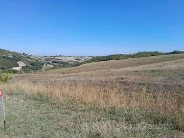 Terreno agricolo