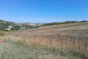Terreno agricolo