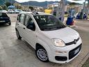 fiat-panda-1-0-firefly-s-s-hybrid-easy