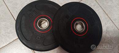 Dischi per palestra 