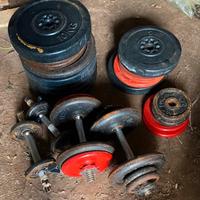 Pesi home gym