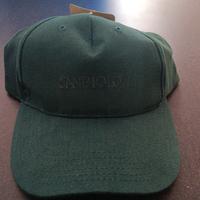 cappellino torino 2006