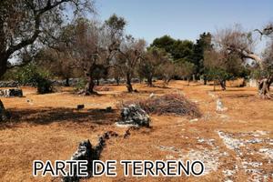 Rustico
